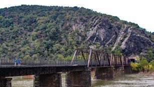 National Park with Bridge