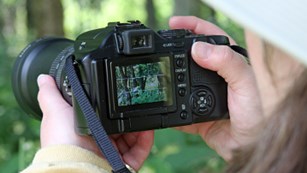 Digital Camera in Woords