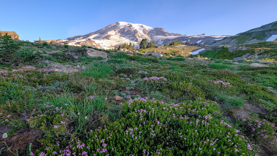 Mount Rainier National Park