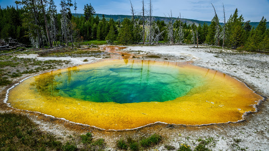 Yellowstone National Park